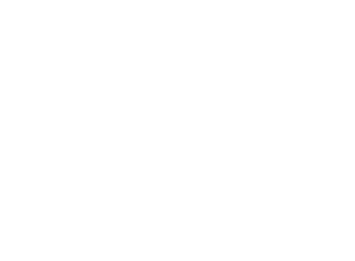 BALEV GROUP